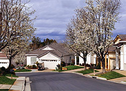Homes in The Estates
